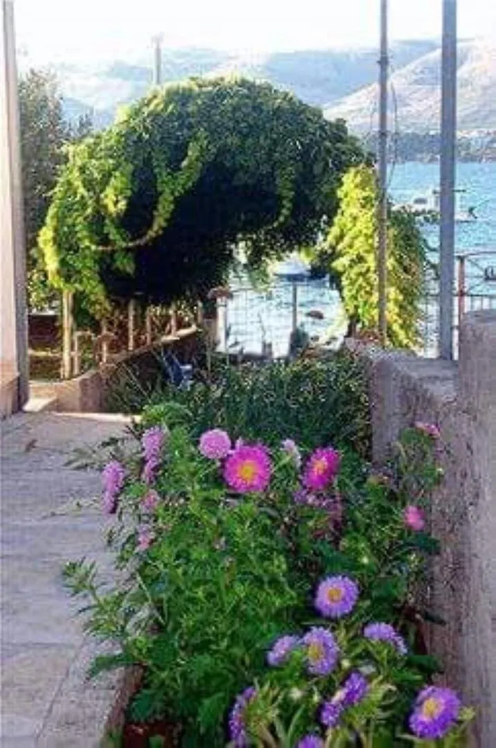 Apartments Antonia - 5 M From Sea 0*, Trogir Croatia